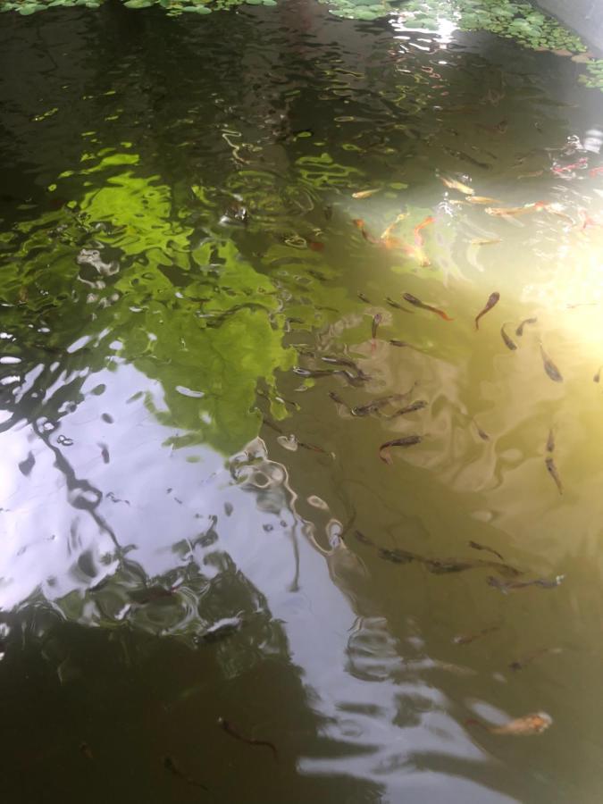 Habitation Santos 6 Personnes Terre De Haut Les Saintes Kültér fotó